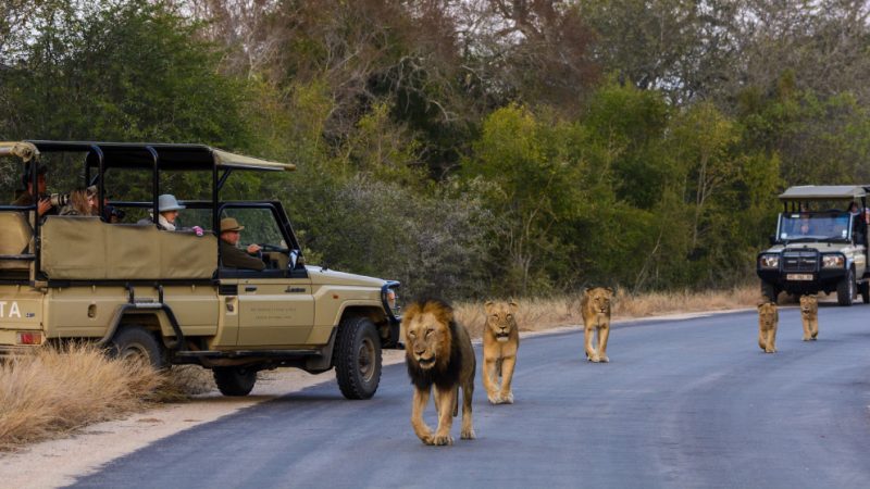 Beyond Kruger – The Underrated Parks and Attractions of South Africa