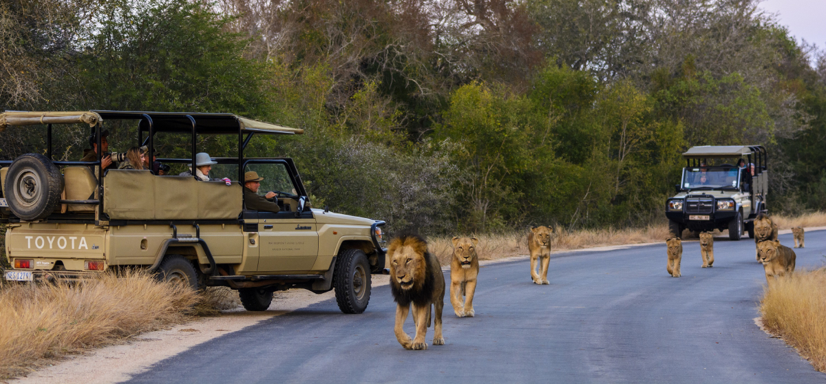 Beyond Kruger – The Underrated Parks and Attractions of South Africa